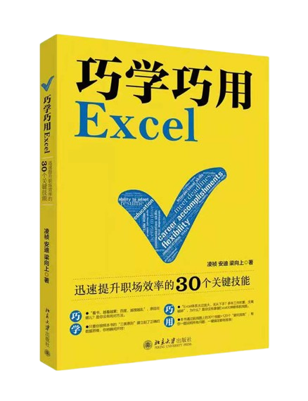 《巧学巧用excel:迅速提升职场效率的关键技能》
